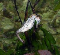 Palmitos Park, Gran Canaria - Akvarium salt