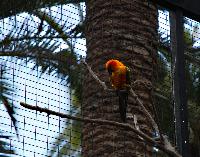 Palmitos Park, Gran Canaria - Diverse