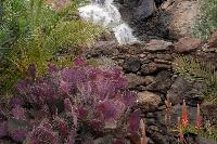 Palmitos Park, Gran Canaria - Diverse