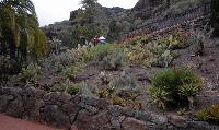 Palmitos Park, Gran Canaria - Diverse