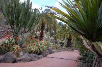 Palmitos Park, Gran Canaria - Diverse