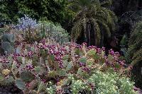 Palmitos Park, Gran Canaria - Diverse