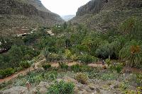 Palmitos Park, Gran Canaria - Diverse