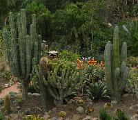 Palmitos Park, Gran Canaria - Diverse