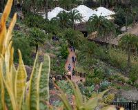 Palmitos Park, Gran Canaria - Diverse