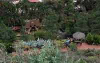 Palmitos Park, Gran Canaria - Diverse