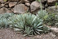 Palmitos Park, Gran Canaria - Diverse