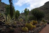 Palmitos Park, Gran Canaria - Diverse