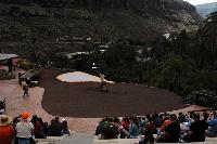 Palmitos Park, Gran Canaria - Uppvisning