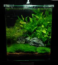 Söndag-Mässa-Nanoakvarium-39