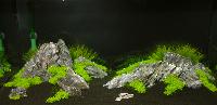 C-V_xtakvarium-30.jpg