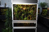 Vivarium 2009, Utrecht, Holland