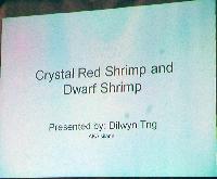 Föredrag av Dilwyn Tng om räkor