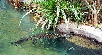 Tropen Aquarium Hagenbeck