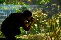 Tropen Aquarium Hagenbeck. Annika fotar