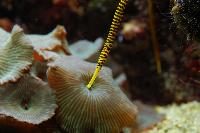 Tropen Aquarium Hagenbeck