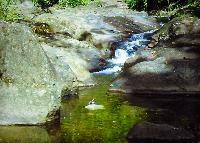 Willem Heijns: Nicaragua, searching for cichlids