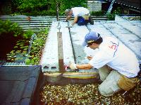 Willem Heijns: My cichlidarium - How to build a fishroom