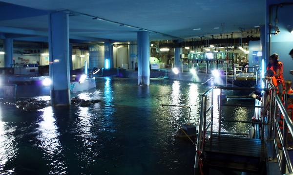 Siam Ocean World, Bangkok