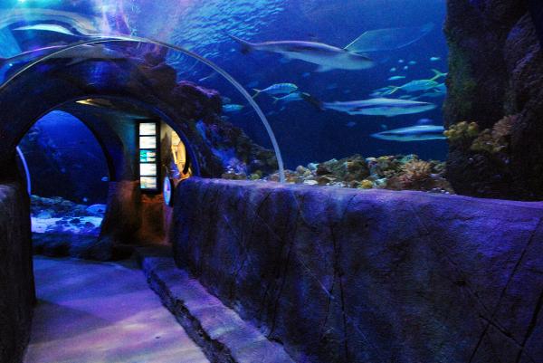 Sea Life, Oberhausen