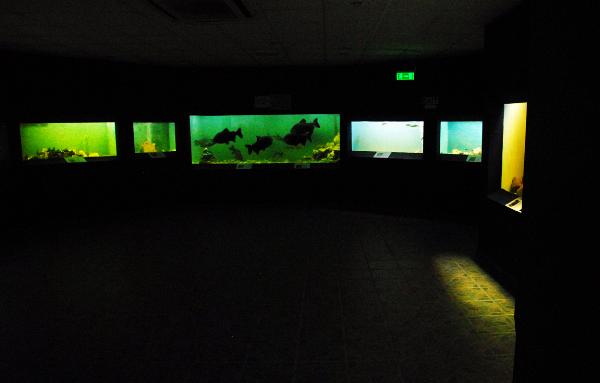 Ocean Aquarium, Protaras, Cypern