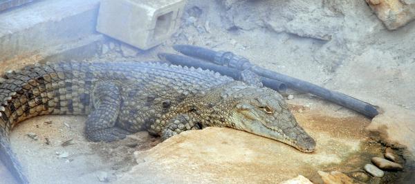 Ocean Aquarium, Protaras, Cypern