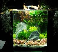 PL.A. Nano 16