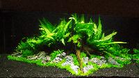 PL.A. Planted Aquarium 30