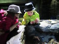 Sea Life, London Aquarium