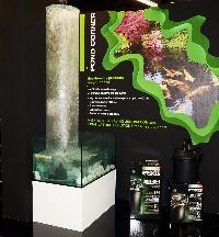 Interzoo 2012- Sicce