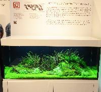 Interzoo 2012- Tropica