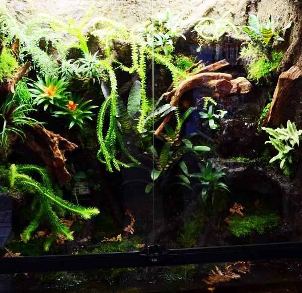 PL.Terrarium.14