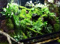 A_PL_Terrarium_13_DSC_3969.jpg