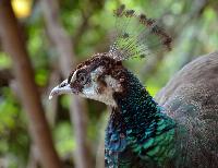 Maroparque, La Palma