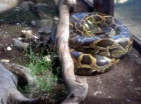 Maroparque, La Palma