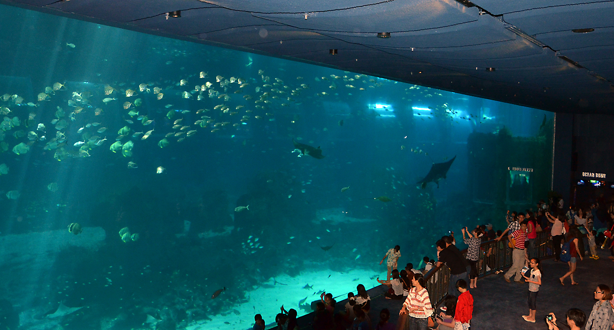 Aquarama.Farmtur. S.E.A. Marine Life