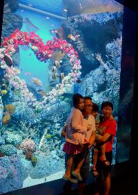 2015-S.E.A. Aquarium, Marine Life
