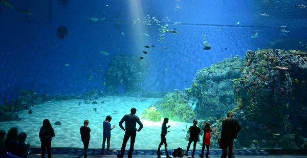 Blue Planet Aquarium