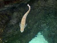 Blue Planet Aquarium