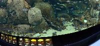 Blue Planet Aquarium