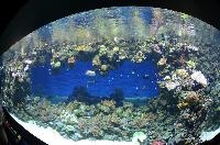 Blue Planet Aquarium