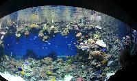 Blue Planet Aquarium