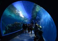 Blue Planet Aquarium