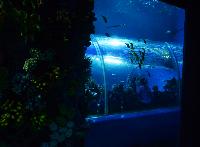 Blue Planet Aquarium