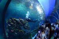 Blue Planet Aquarium