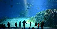 Blue Planet Aquarium