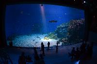 Blue Planet Aquarium