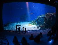 Blue Planet Aquarium