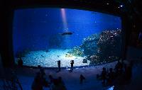 Blue Planet Aquarium