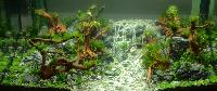 Aquascaping 250 liter